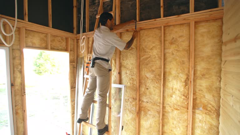 Best Radiant Barrier Insulation  in Wellsville, MO