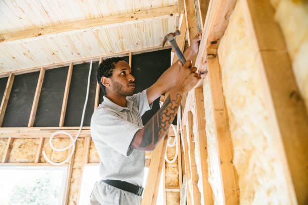 Best Crawl Space Insulation  in Wellsville, MO